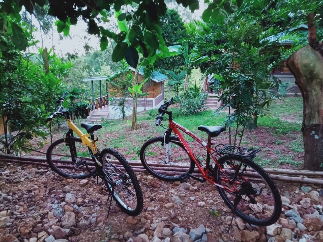 Dos bicicletas estacionadas en un camino de grava en un jardín exuberante, con estructuras de madera al fondo.