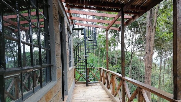 Una scala in legno che conduce a una zona riparata con ringhiera metallica, circondata da alberi.