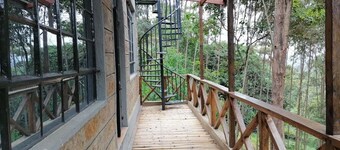 Kihingo cottages muranga