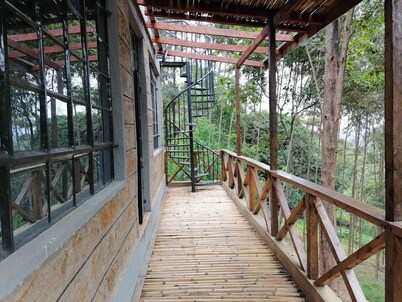Kihingo cottages muranga