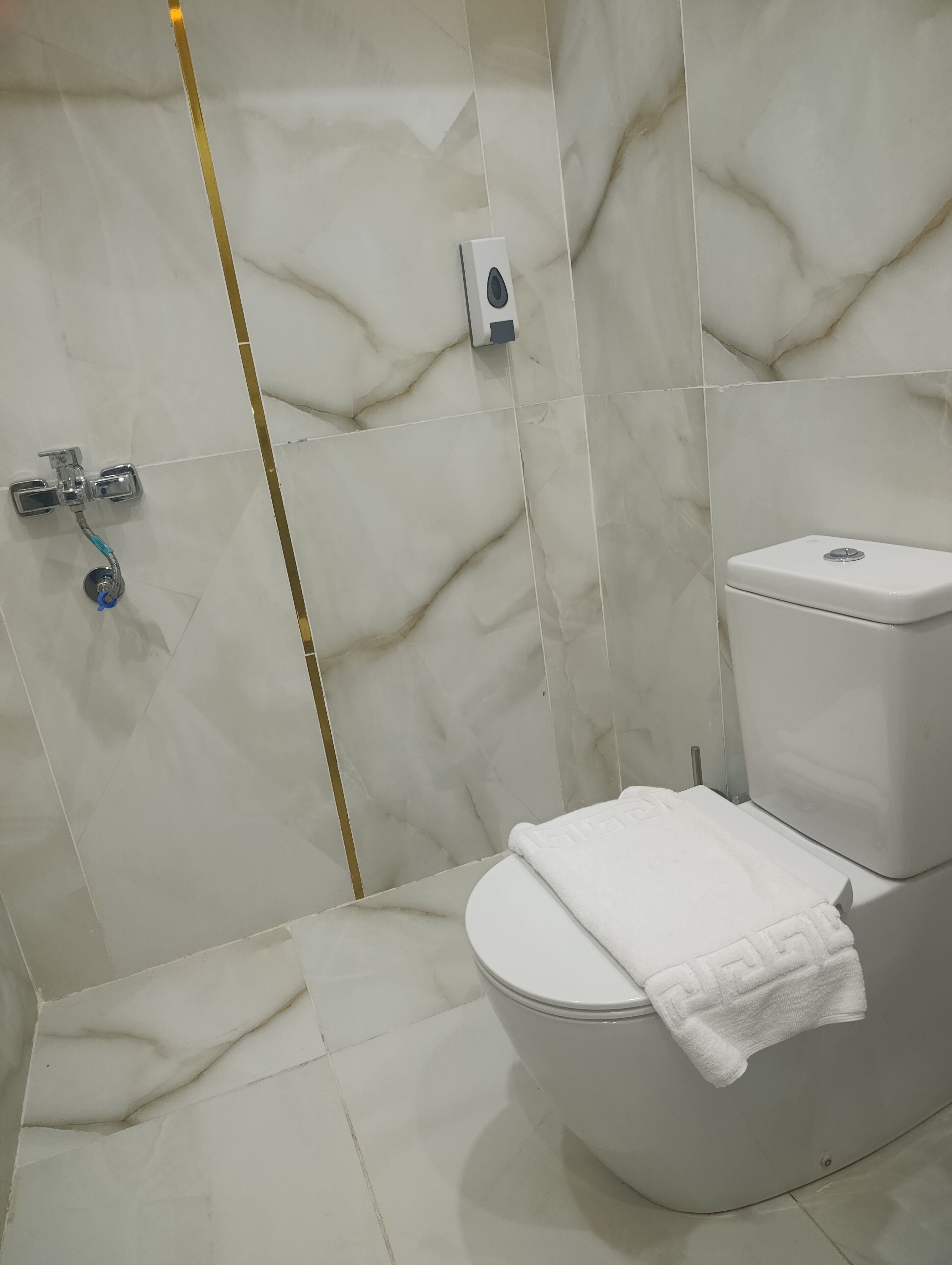 A bathroom with a toilet, a hand dryer, and a showerhead.