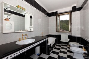 Shower, hair dryer, bidet, towels