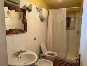 Shower, hair dryer, bidet, towels