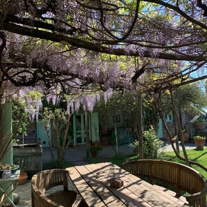 A wooden table and bench under a wisteria-covered pergola in a garden setting. - Country house with pool in Anghiari Arezzo (Anghiari)