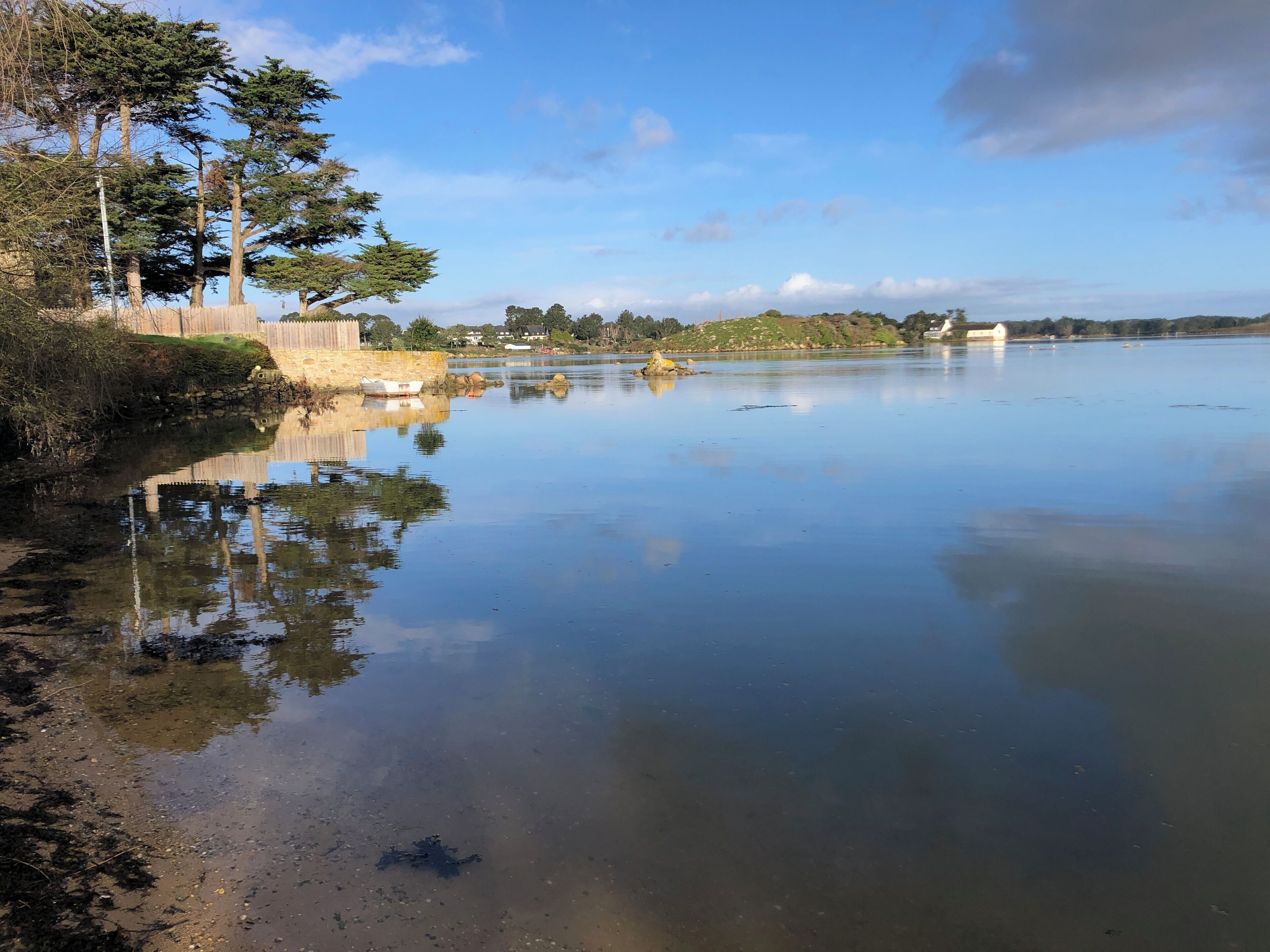 A calm lake with a wooden fence and trees on the left, a clear sky, and distant buildings.
