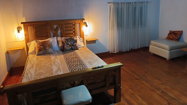A cozy bedroom with a wooden bed, a small bedside table, a nightstand, a chair, and a window with curtains. - House for rent in mar del plata, per day, per week or per fortnight (Mar del Plata)