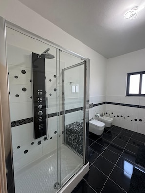 Shower, hair dryer, bidet, towels