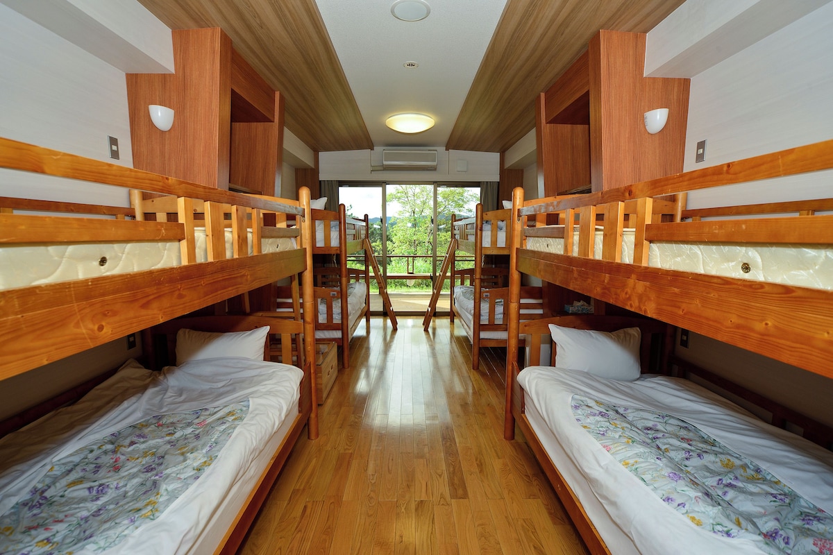 A room with bunk beds, wooden walls, and a view through the window.