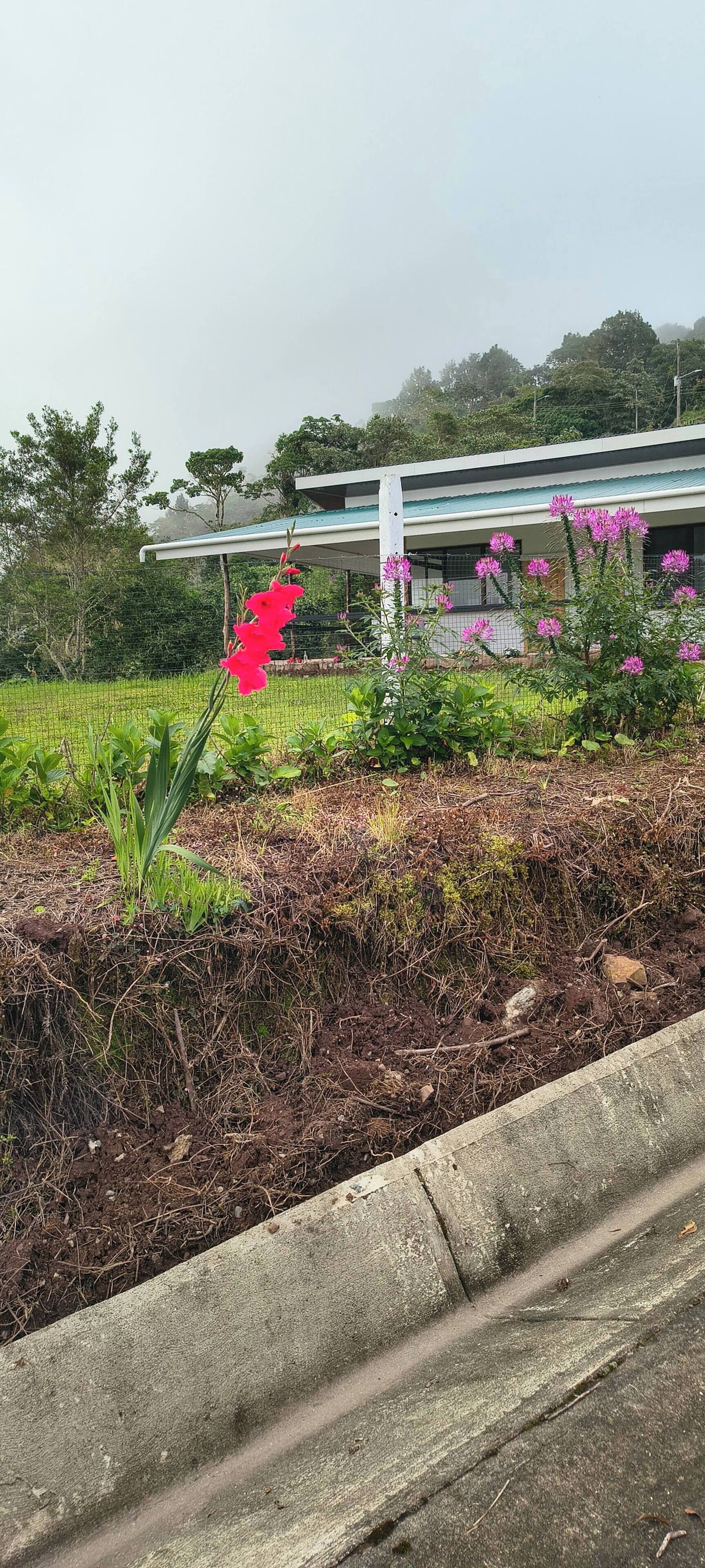 House, 2 Bedrooms, Accessible, Smoking | Garden