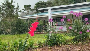 Ein Garten mit rosa Blüten und einem Gebäude im Hintergrund.