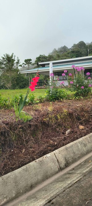 Rumah, 2 kamar tidur, akses difabel, Boleh Merokok | Taman