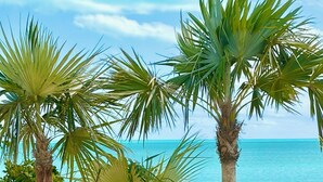 A coastal scene with palm trees and pink flowers. - Luxury Simplicity On The Beach, Little Exuma.  Brand new, 2 bedrooms. (little exuma, Bahamas)