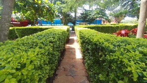 A stone pathway flanked by neatly trimmed hedges, leading to a blue building in the distance. - Dillons Highway Motel (Kilimambogo)