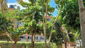 A courtyard with red chairs, a metal fence, and various trees. - Dillons Highway Motel (Kilimambogo)