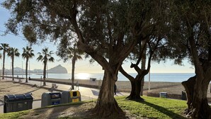 A park with trees, a path, and a beach in the background. - Home 65F - Beachfront with Private Terrace (Aguilas)