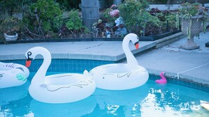A swimming pool with two swan-shaped inflatable floats and a pink flamingo float.