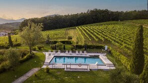 Apartment | Exterior - Apartment in Tuscany With Vineyard Views (Lucca)