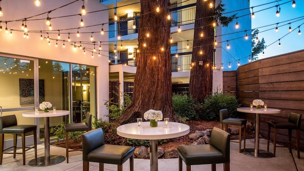 Une terrasse extérieure avec des tables et des chaises rondes, des guirlandes lumineuses et de grands arbres.