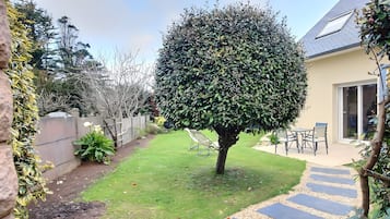 Terras