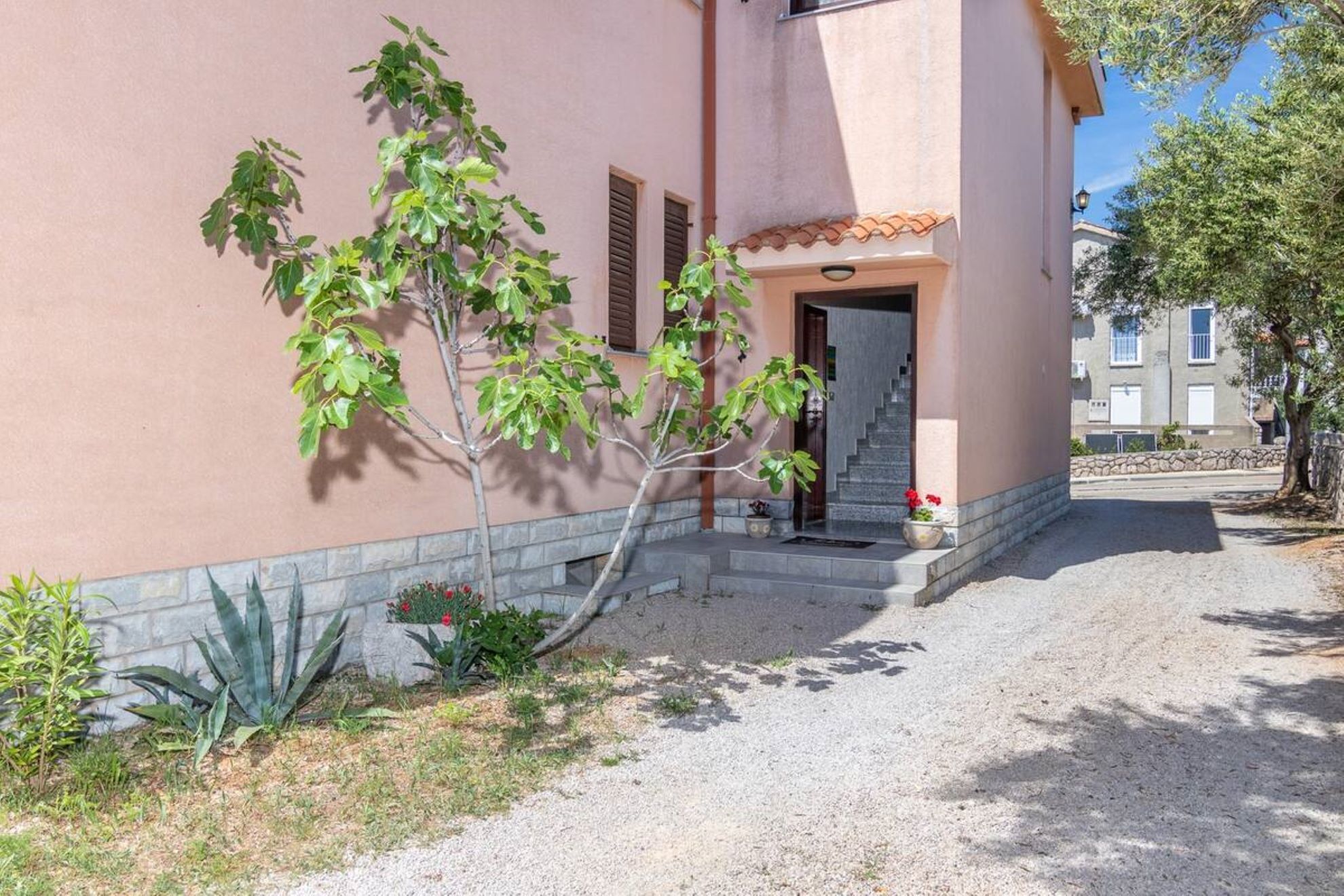 A building with a pink facade, a small tree in front, and a gravel path leading to the entrance.