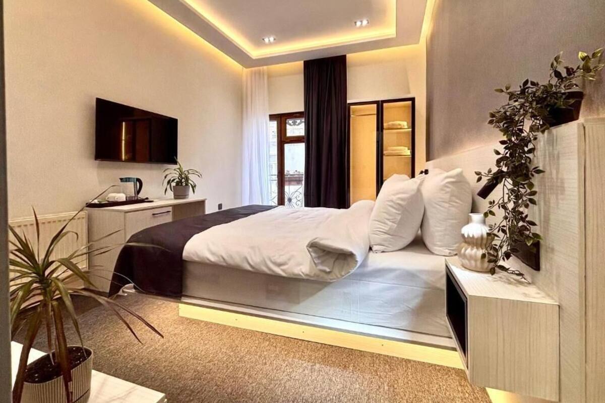 A modern bedroom with a bed, bedside table, TV, and a potted plant.