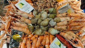 Prato de frutos do mar com diversos tipos de mariscos e um lagostim, incluindo camarão, amêijoas e mexilhões, disposto em um prato de papel branco.