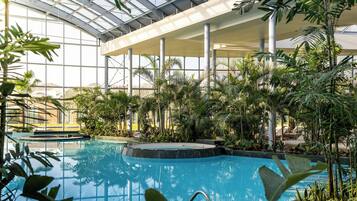 Una piscina interior con techo de vidrio, rodeada de plantas tropicales y una zona de estar cubierta.