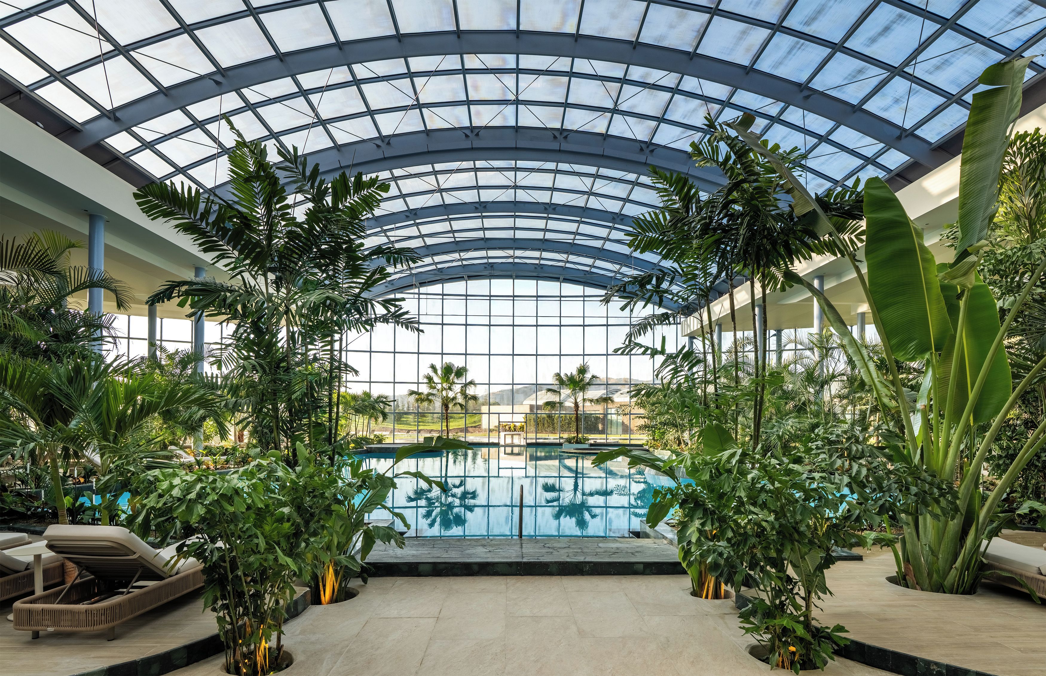 An indoor swimming pool with a glass ceiling, surrounded by lush tropical plants and sun loungers.