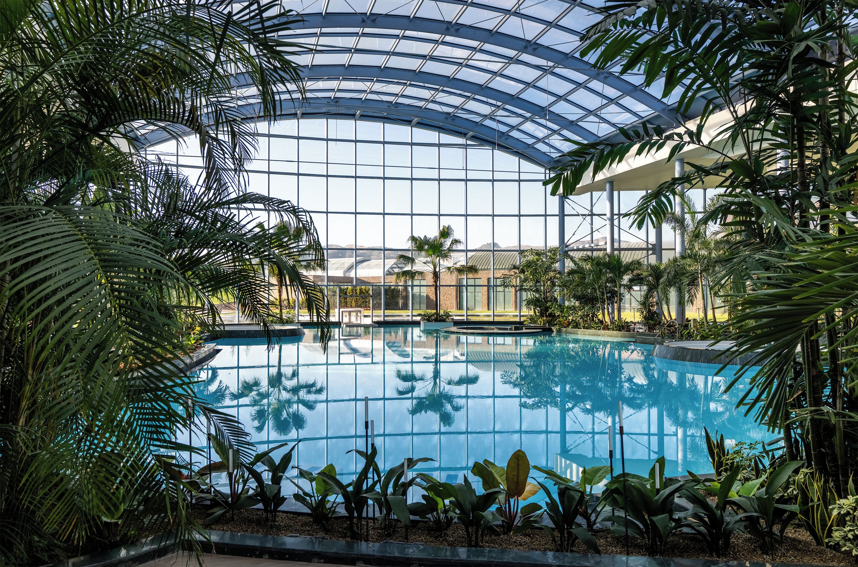 Una piscina interior con techo de cristal, rodeada de plantas tropicales.