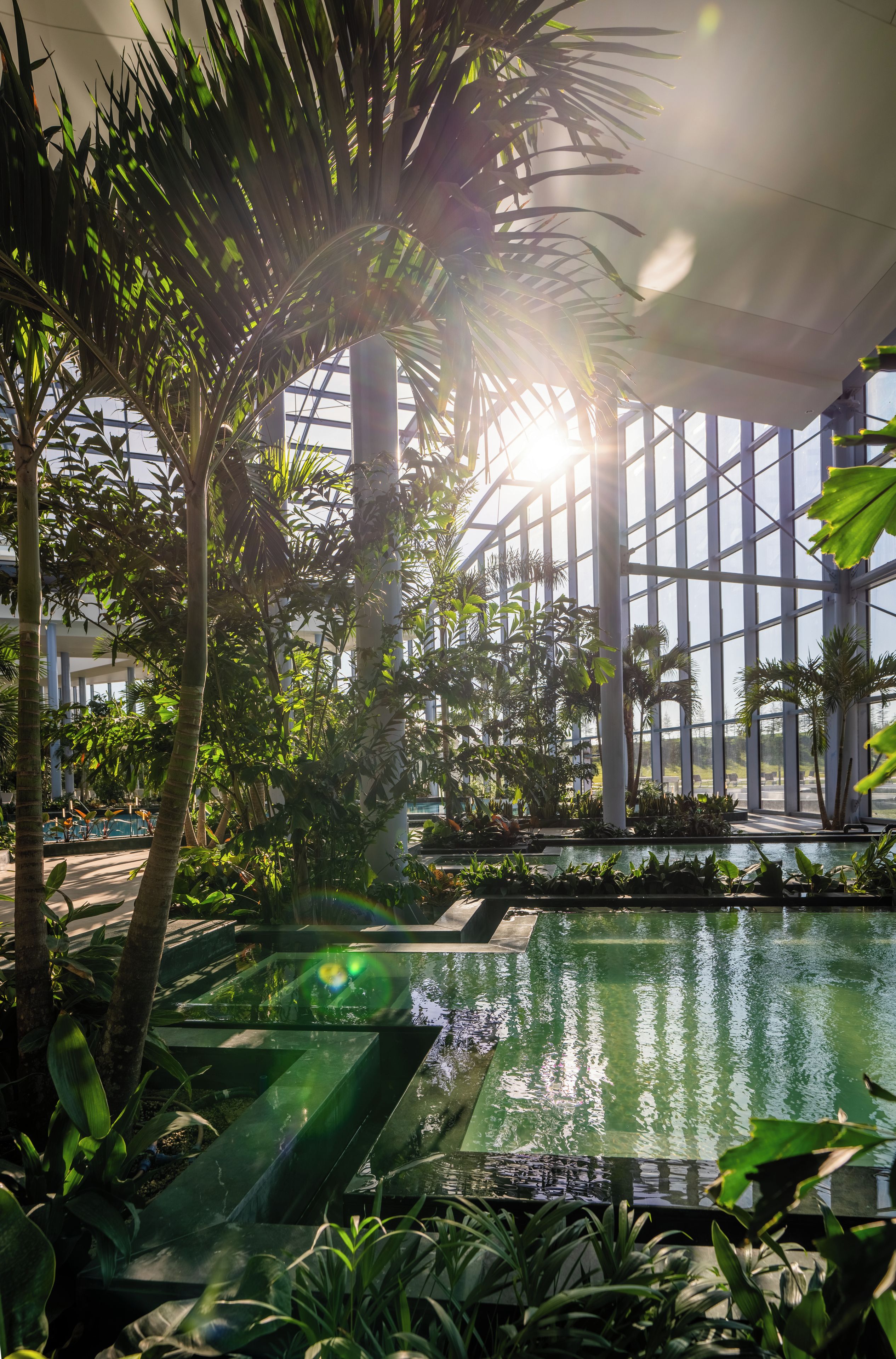 Un jardín interior con piscina, rodeado de diversas plantas y un techo de cristal que permite la entrada de luz natural.