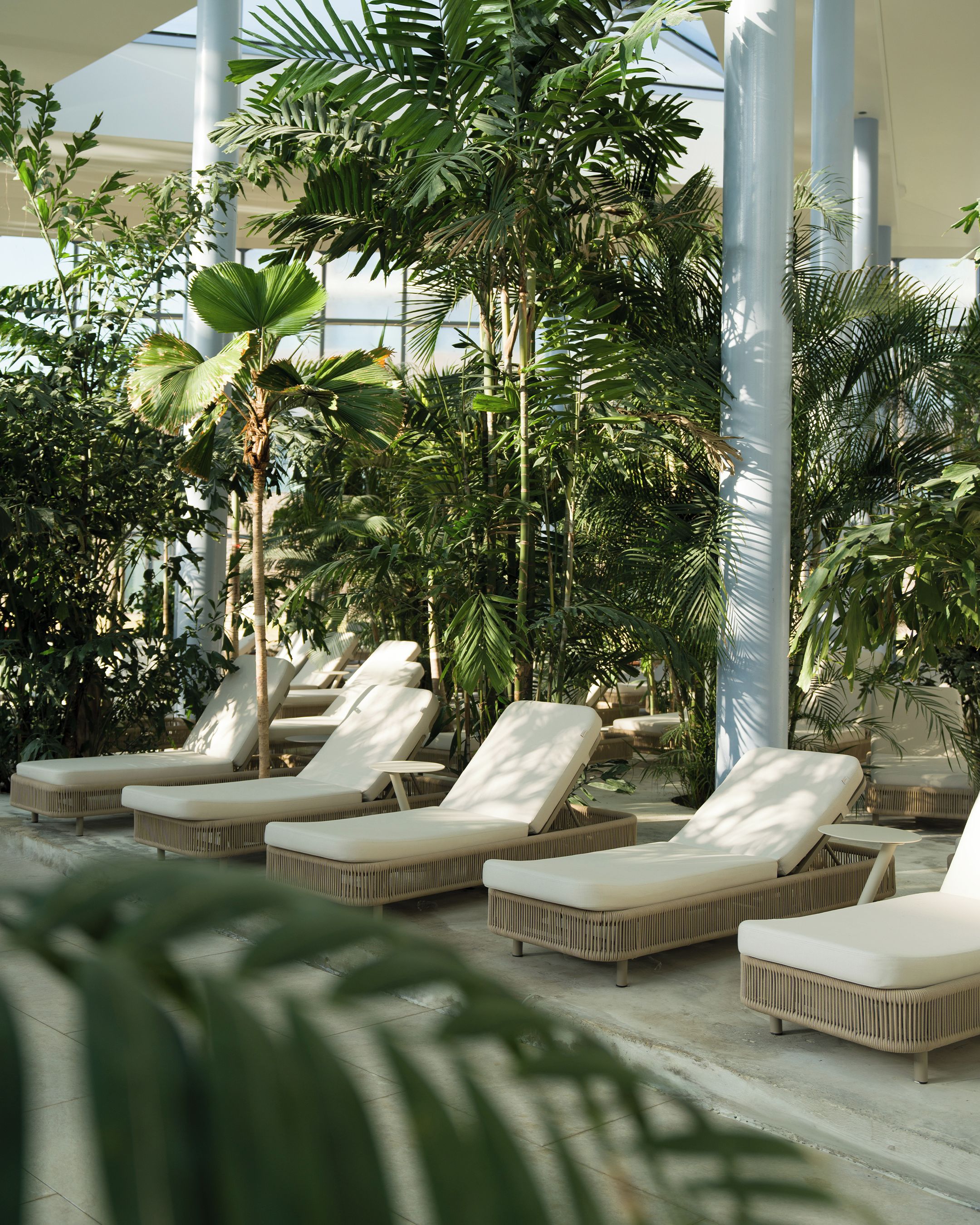 Un espace de détente intérieur, baigné de lumière naturelle, avec plusieurs fauteuils confortables et une variété de plantes tropicales.