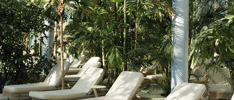 A sunlit indoor lounge area with several lounge chairs and a variety of tropical plants.