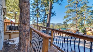A wooden deck with a metal railing overlooking a snowy street and a residential area with houses and trees.