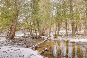 Une zone boisée avec un ruisseau et de la neige au sol.