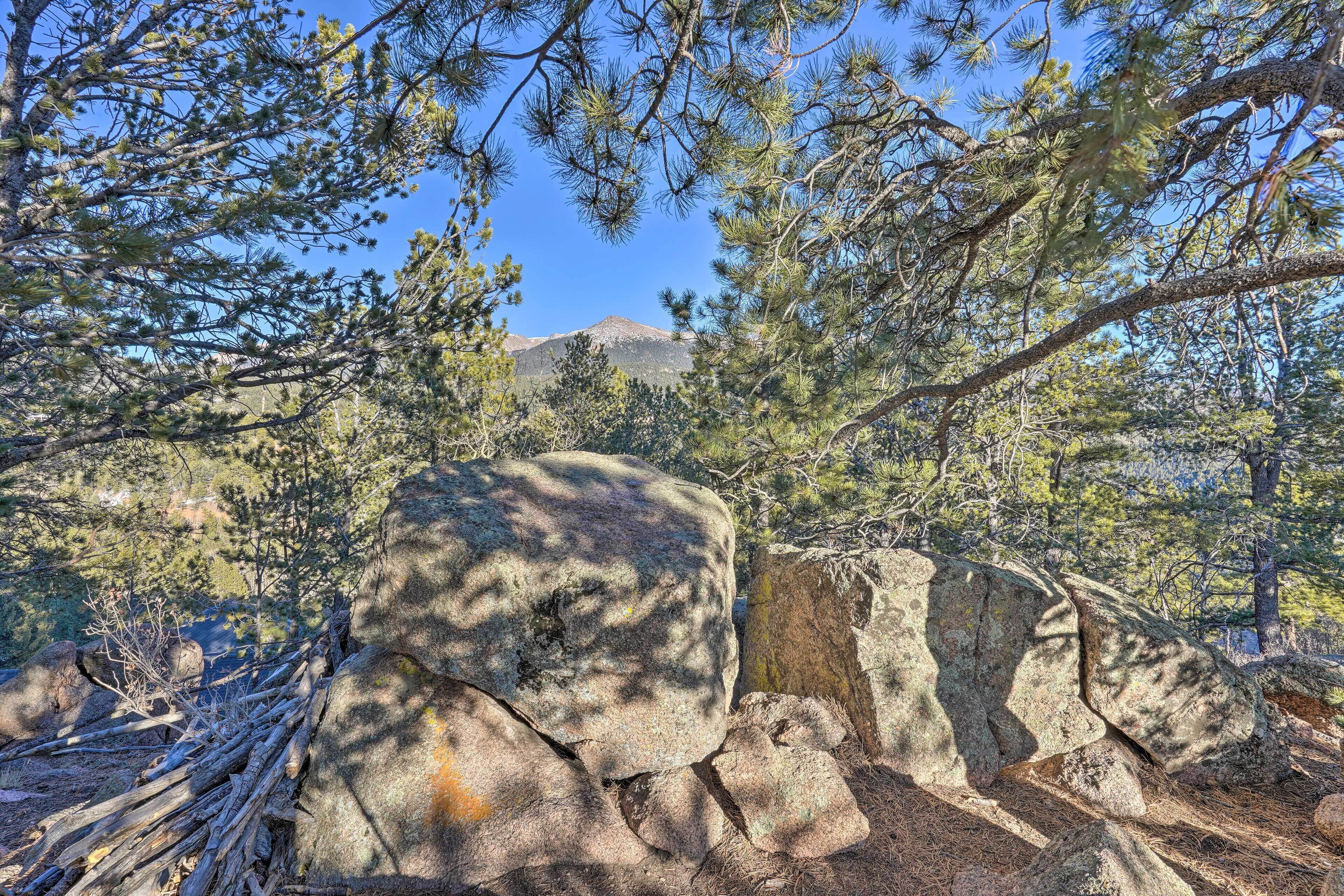 Un paysage rocheux parsemé de gros blocs de pierre et d’arbres à feuilles d’aiguilles.