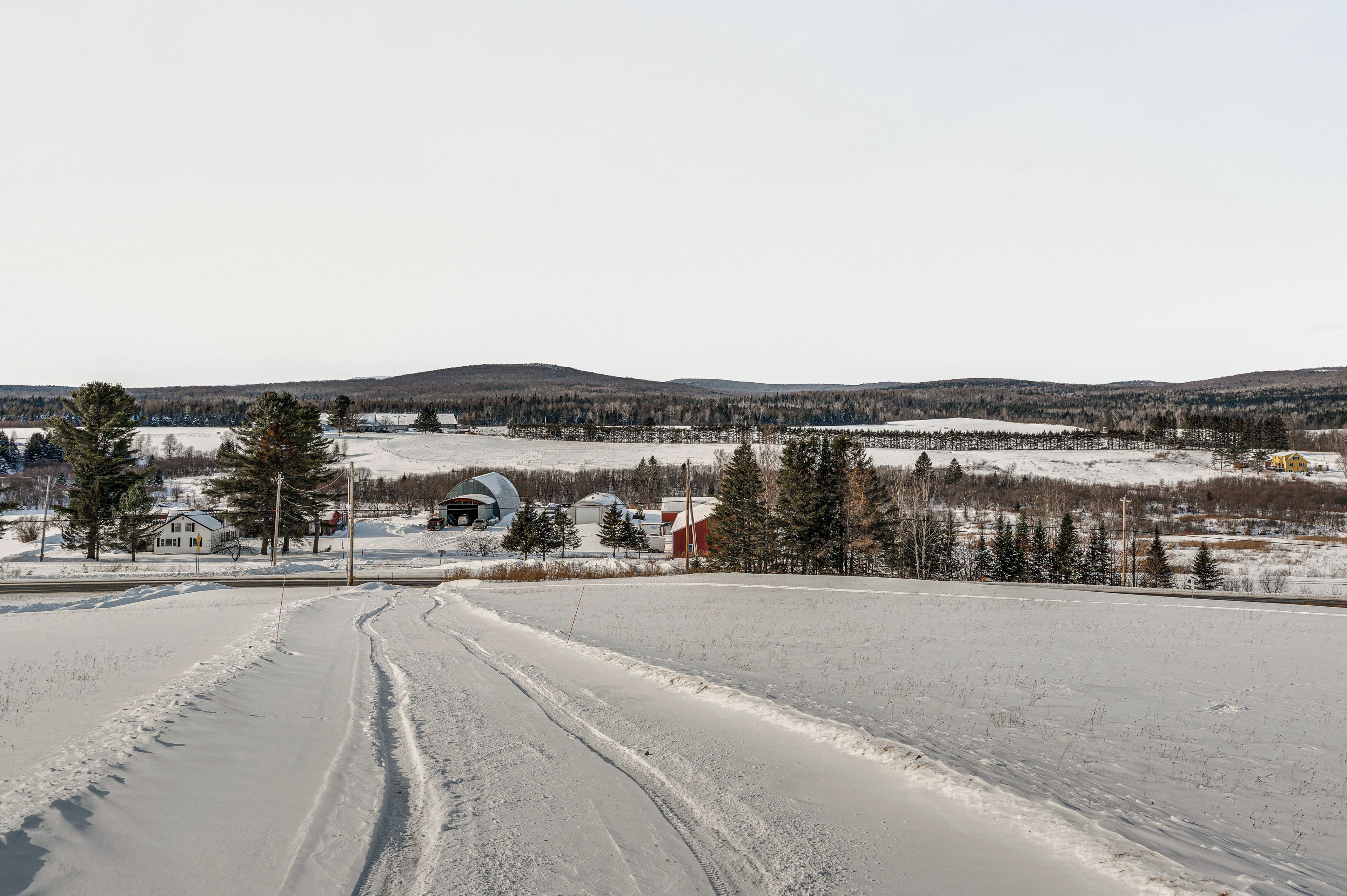 Schneebedeckte Landschaft mit einer Straße, Gebäuden und Bäumen.