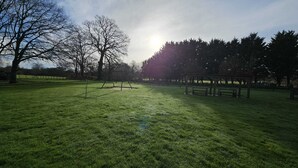 Ein Park mit einer grünen Wiese, einer Holzbank und Bäumen.