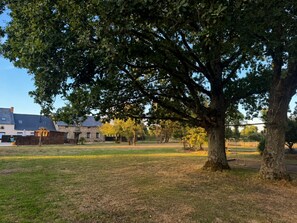 A large tree in a grassy area with a building in the background. - Paris Cottage – Elegant stay & pool access – Les Gîtes du Petit Marcel (Soudan)