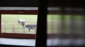 Interior - Gîte Nature (Soudan)