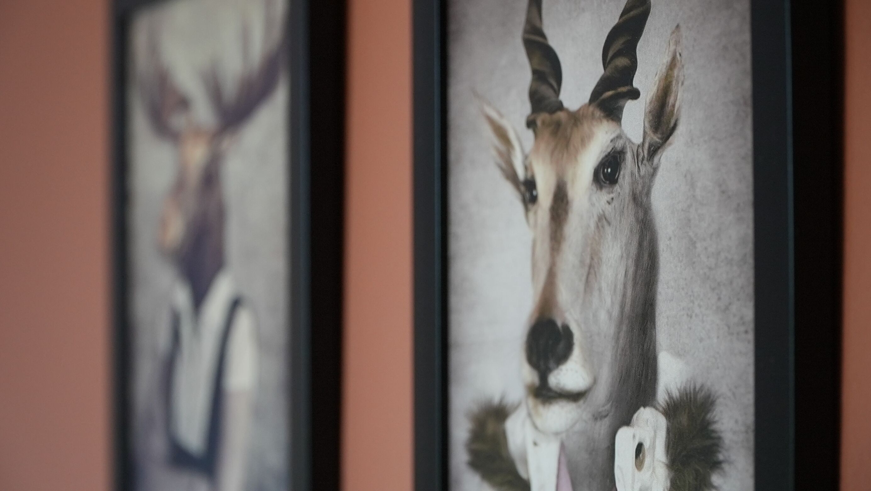 A framed artwork of an animal with horns, possibly a gazelle or antelope, with a blurred background.