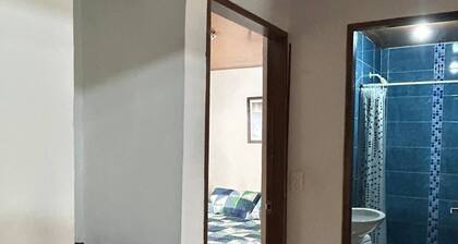 The Cats Nail House