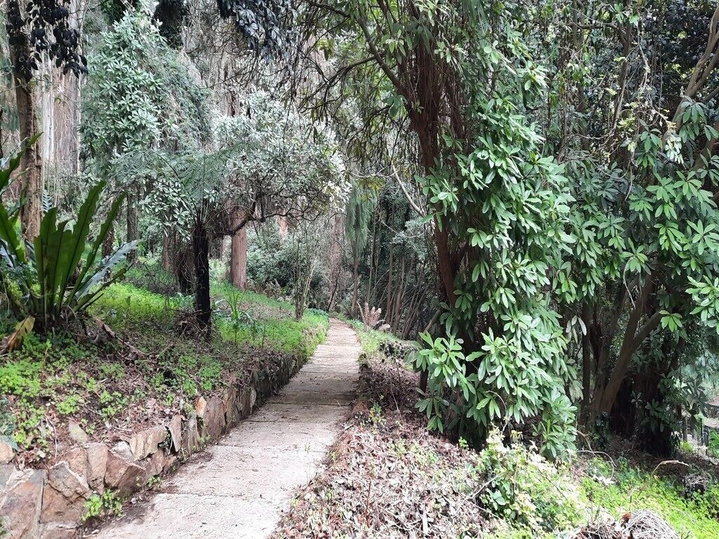 Parco della struttura