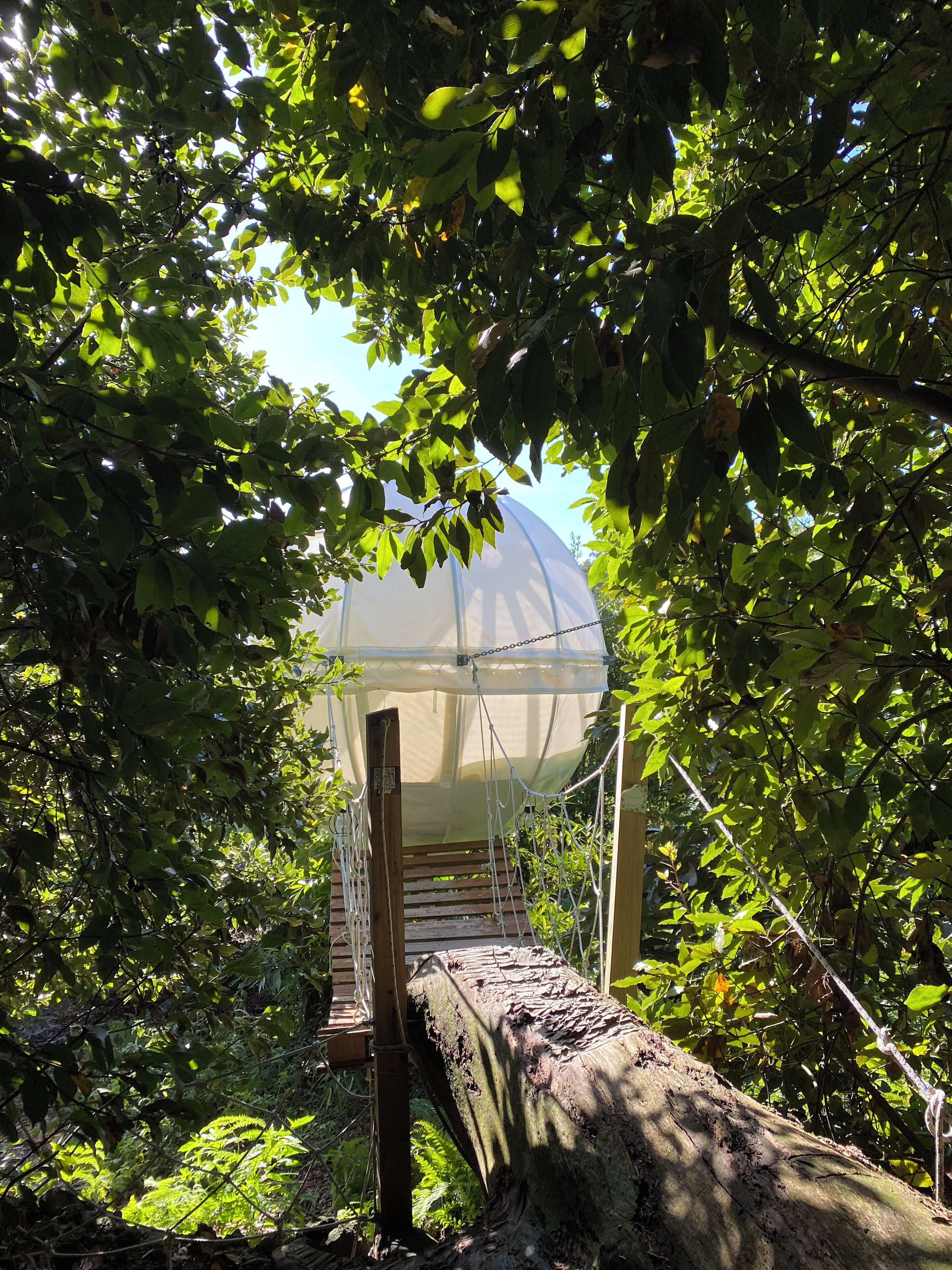 Standard Tree House, Garden View | Property grounds