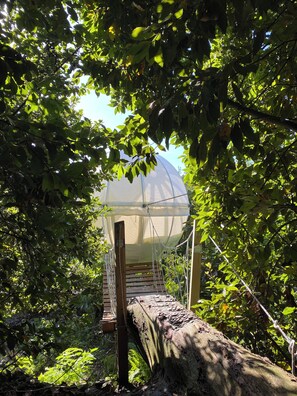 Casa de árbol estándar, vista al jardín | Áreas de la propiedad