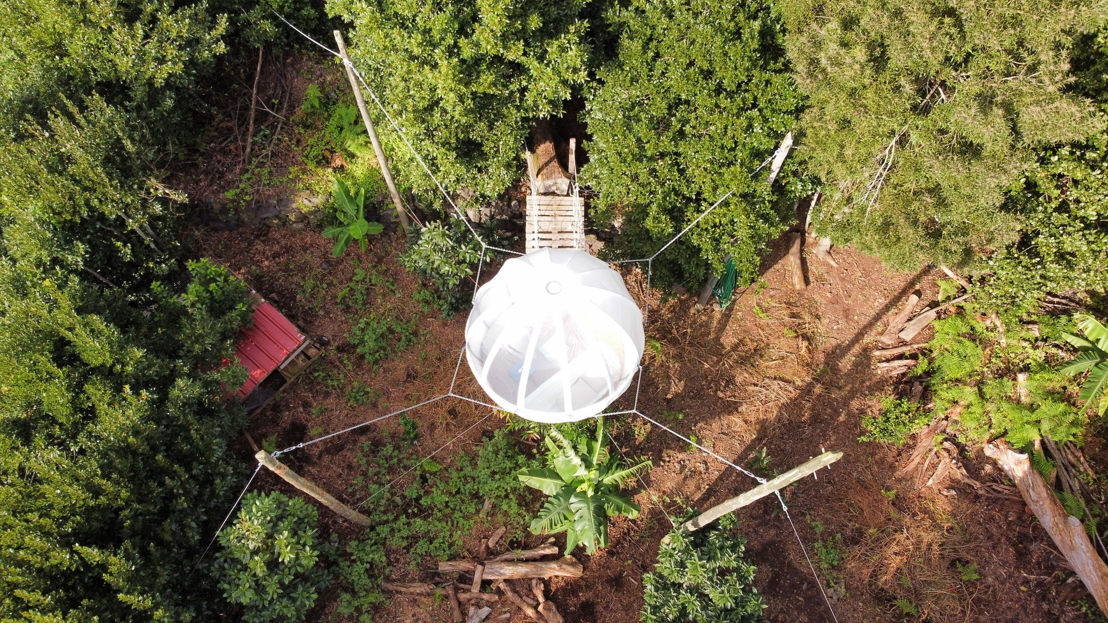 Standard Tree House, Garden View | Property grounds