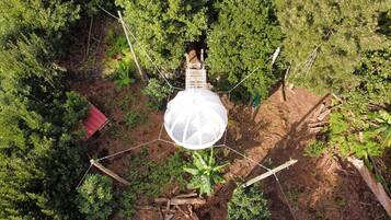 Standard Tree House, Garden View | Property grounds