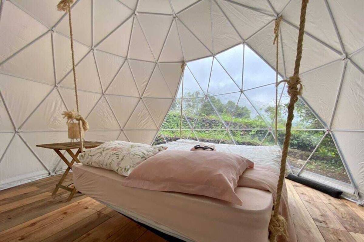 Una habitación con tienda de campaña acogedora, con una cama, una mesita y vistas al verdor exterior.