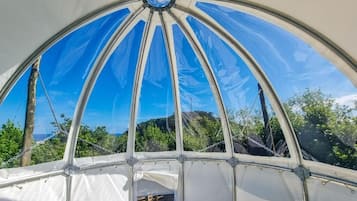 Casa en un árbol estándar, vistas al jardín | Jardines del alojamiento