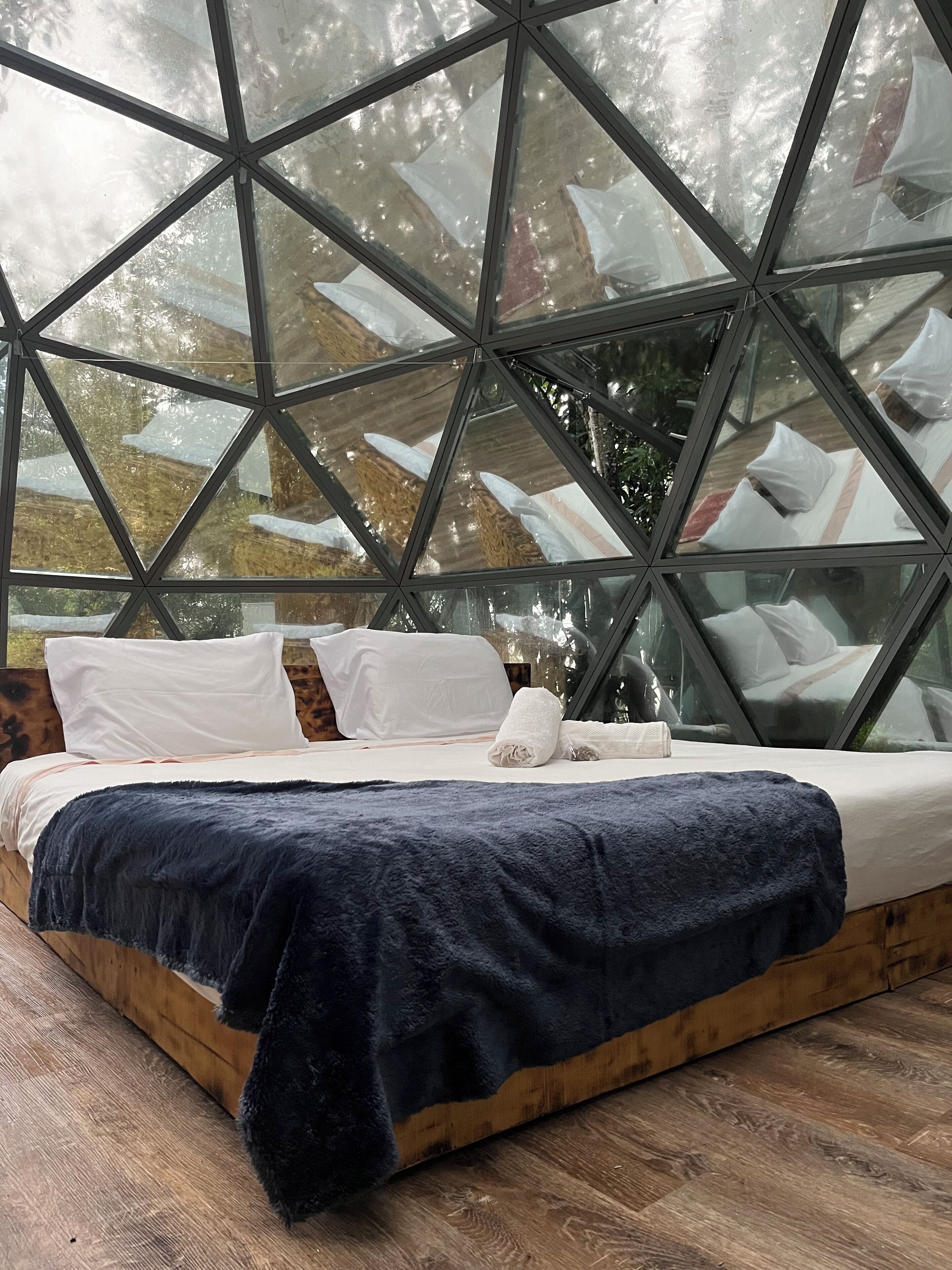 Standard Bungalow, Patio, Pool View