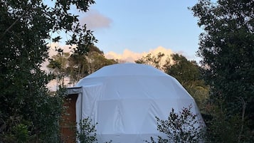 Bungalow estándar, vista al jardín | Exterior